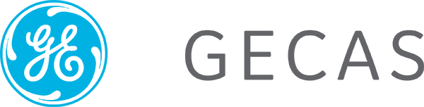 GECAS - Business and Invest